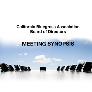 meeting synopsis